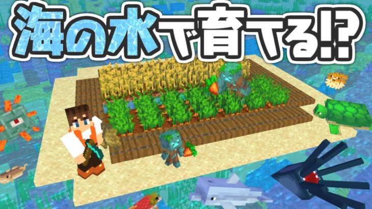 海水で畑の作物を育てると!?孤島に巨大な畑づくり!!海でマイクラ実況Part29【マインクラフト】