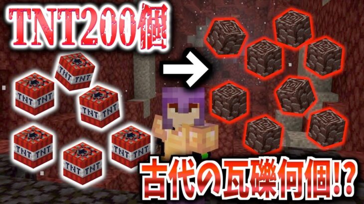 【マイクラ】TNT200個使って1時間で古代の瓦礫何個集めやれるのか！？#41