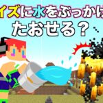 【マイクラjava版】ブレイズに水をぶっかけたら・・・え？意外な結果に！＃８５「じゃじゃクラ」