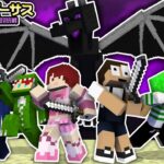 エンダードラゴンを協力して倒せ！！「ぷちぷち視点」『マイクラバーサス』【マインクラフト】