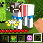 【マイクラ】テクスチャを改造するマインクラフト