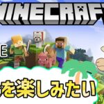 マインクラフト　家建てて幸せに暮らしたい配信🐫