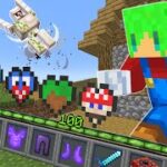 【マインクラフト】ゲームの能力が使える『最強のハート』を作れる世界でサバイバルしたらヤバすぎた…！？