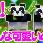 パンダの衝撃！？こんなに可愛いなんて聞いてない！？　ほのぼのマイクラゆっくり実況  ＰＡＲＴ６５２　【マインクラフト】