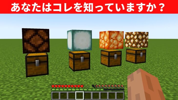 【衝撃】マインクラフトの隠された裏技＆小技６選