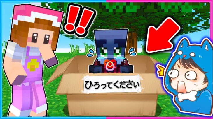 親をなくしたピリジャーの子どもを育てるマインクラフト!!🍼👶💨【 マイクラ / まいくら 】