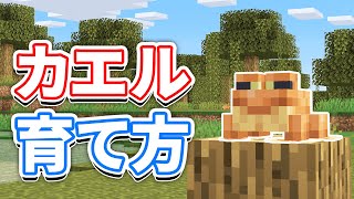 【マイクラ1.19】カエル(Frog)の育て方・繁殖方法・仕様など詳しく解説!!【マインクラフト1.19】(ワイルドアップデート)