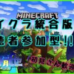 ＃25　マインクラフト　家周りとネザーをきれいに舗装し隊件【視聴者参加型】