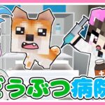 『どうぶつのお医者さん』になってペットを助けるぞ🐶🏥💉【マイクラ / マインクラフト / Minecraft】【たまちゃん】