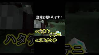 【マインクラフト】何語？【Minecraft】 【マイクラ】【カメラMOD】　 #Shorts