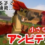 【Minecraft】マイクラってこんなに辛いゲームだったっけ…？【竜と魔法とマインクラフト】