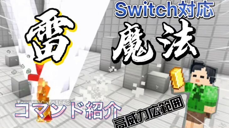 [コマンド紹介][コラボ]Switch対応雷魔法の作り方！！