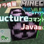 【マイクラ情報】Ver1.19 locateとplaceコマンドの進化! 統合版のstructureコマンドが使える! Java版マインクラフト・スナップショット 22w19a 今後のアップデート情報