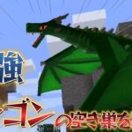 マイクラ初心者がドラゴンにちょっかいをかけたらｗｗ【マイクラゲーム実況】【マイクラmod】【ドラゴンmod実況】