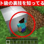 マイクラ上級者でも知らない統合版のチート裏技＆小ネタまとめ｜透過バグのやり方…