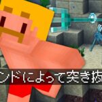 【マイクラ】指定された死亡ログ出すまで終われません！