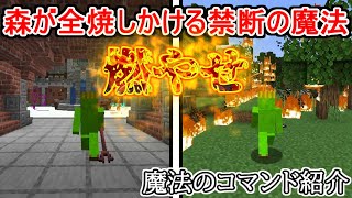 【マイクラコマンド紹介】魔法学校行って火の魔法をつくったらよく知らない森が犠牲になった件