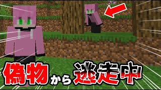 【マイクラ】ニセモノが出た！自分のドッペルゲンガーから大逃走した結果ｗｗｗｗｗｗｗｗ【 マインクラフト / まいくら 】