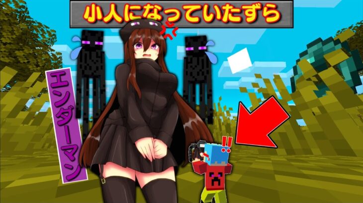 【マイクラ】小人になって女の子になったモブにいたずらしまくるサバイバルしたらとんでもなかった！？