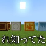 【マイクラ】1.19にて追加されたJava版限定隠しアイテム4選　　【マインクラフト 1.19】【小ネタ】【茶番】【コマンド】【検証】#Shorts #マイクラウラ技