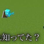 【マイクラ】アレイに盾を持たせたら…  ～アレイの気になる検証～　【マインクラフト 1.19】【小ネタ】【豆知識】#Shorts #マイクラウラ技