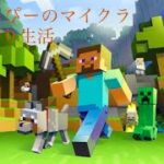 マインクラフト　＃10 整地するよ！村人の家1つ目作ってみるよ