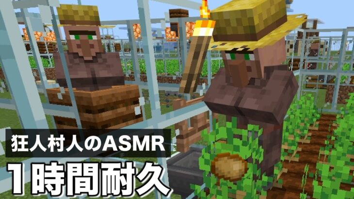 【1時間耐久】マイクラ狂った村人の農作業音【作業用/ASMR】