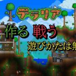 【テラリア】剣と魔法の2Dマイクラ！！   ～こうへい視点～