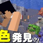 カエル3匹連れてくるまで終われまてん！！ PART165【マイクラ】