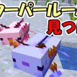 【マインクラフト】#38 超簡単！ウーパールーパーの正しい見つけ方！【マイクラ】【ふたクラ2022】