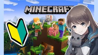 ライブ配信中♪#5[マインクラフト/Minecraft]初心者がやるのんびりマイクラ！いろいろ準備！