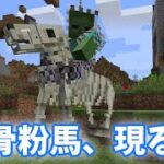 魔法と化け物の世界。#7 骨粉ライダー☆(ちょっと武器強すぎましたね)【Minecraft】【ゆっくり実況】