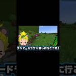 自作銃MODでエンドラ討伐に挑戦🎊強すぎた✨【マイクラ/マインクラフト/Minecraft】【親子でゲーム実況】