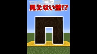 見えないバリア付ゲートを作る裏技【マイクラ】【Minecraft】