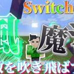 [コマンド紹介]Switch対応風魔法の作り方！！！