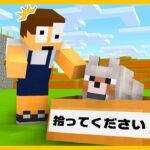 【アニメ】赤ちゃんオオカミを拾ったらと大変なことになった！？【おめめのぷっちー】【マイクラアニメ】