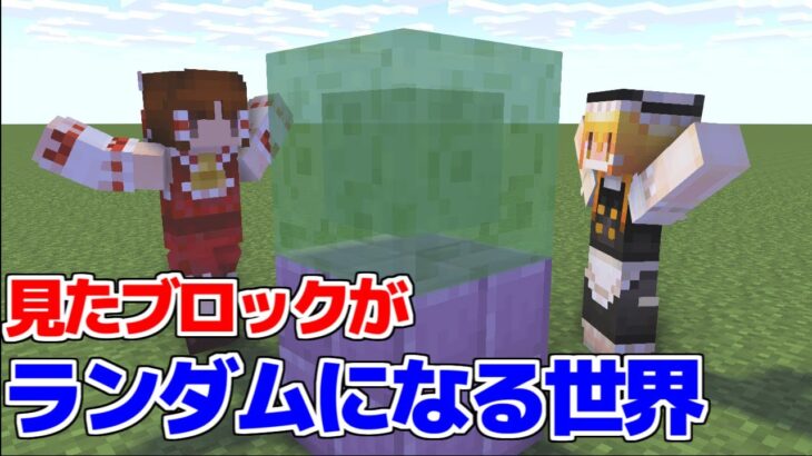 【マイクラ】見たブロックがランダムになる世界！【マイクラ豆知識 解説 裏技/ゆっくり実況/マインクラフト】