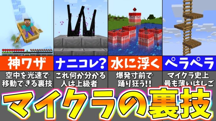 マイクラ 意外と知らないバグ裏技 & 小ネタ ９選【マイクラ・マインクラフト】