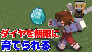 【マイクラ】誰も知らないダイヤのクワを作れる世界！【マイクラ豆知識 解説 裏技/ゆっくり実況/マインクラフト】