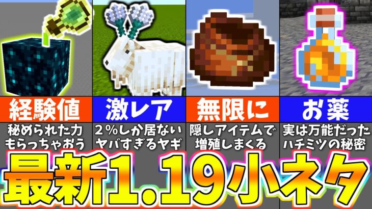 マイクラ1.19 上級者でも知らない最新バグ裏技＆小ネタ６選【まいくら・マインクラフト】