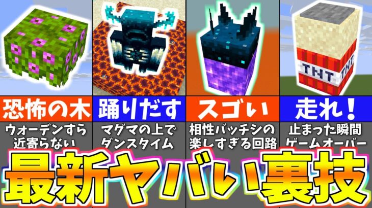 マイクラ1.19 信じられない最新バグ裏技＆小ネタ８選【まいくら・マインクラフト】【検証】