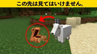 【マイクラ1.19】絶対知っておきたいカエルの雑学と豆知識【ゆっくり解説】