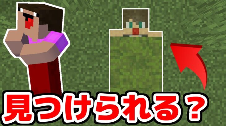 100％見つからない隠れ場所がやばすぎたｗｗｗ【マイクラ】【マインクラフト】