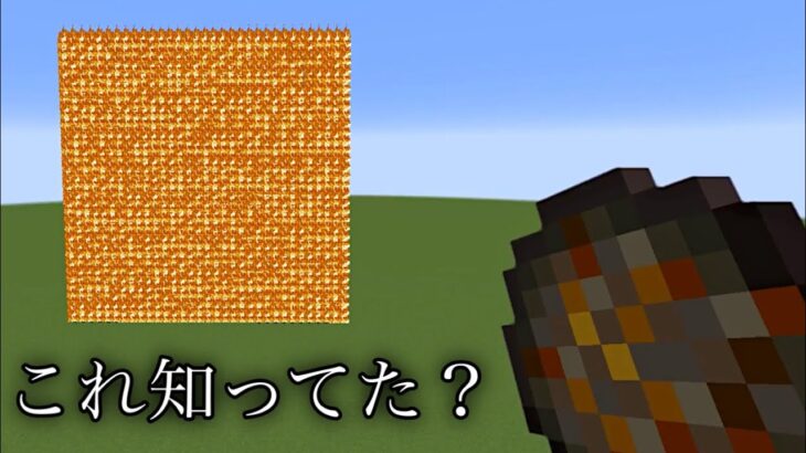 【マイクラ】驚愕の映像が撮れた.. ～一面に広がる1000のファイヤーボールに火の玉をぶつけるとどうなるか検証～【マインクラフト 1.19】【小ネタ】【コマンド】#Shorts #マイクラウラ技