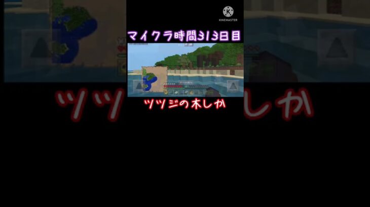 【15秒マイクラ】313日目　カエル探しの旅③