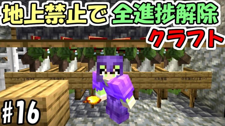 【マインクラフト】#16 地上禁止で全進捗解除クラフト　～村人教育回～【マイクラ】