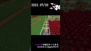 マイクラ日記2022.7/20 ネザヲ畑 [Minecraft/Vtuber]