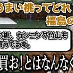 【イブラヒム】90秒で振り返るマイクラお城計画【城下町編⑬】