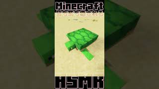 【マイクラ】99％の人が癒される。Minecraft×ASMR～砂と亀～【マインクラフト ASMR MOD】#shorts