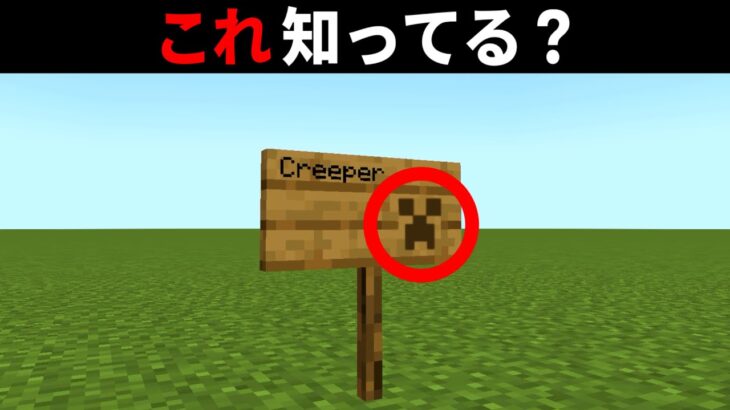 【マイクラ】看板に “Creeper” と書き込むと、隠れクリーパーが現れるらしい【マインクラフト】